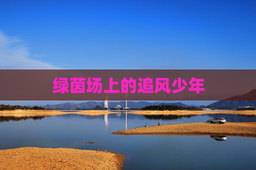 绿茵场上的追风少年