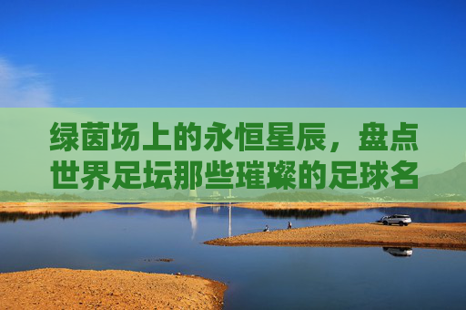 绿茵场上的永恒星辰，盘点世界足坛那些璀璨的足球名将