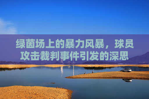 绿茵场上的暴力风暴,球员攻击裁判事件引发的深思