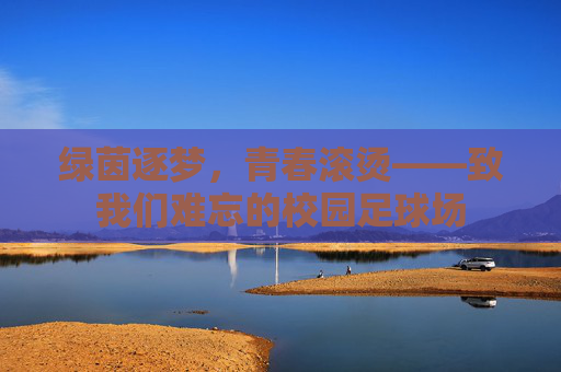 绿茵逐梦，青春滚烫——致我们难忘的校园足球场