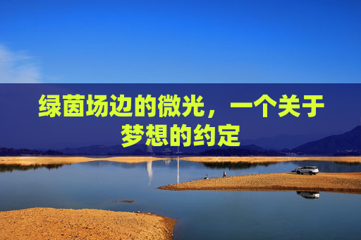 绿茵场边的微光,一个关于梦想的约定