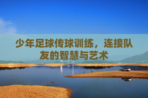 少年足球传球训练,连接队友的智慧与艺术