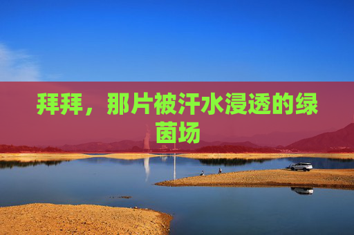 拜拜,那片被汗水浸透的绿茵场