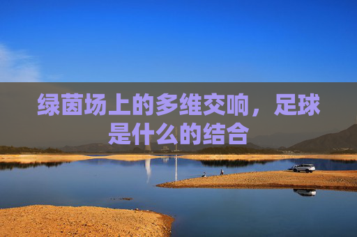 绿茵场上的多维交响,足球是什么的结合