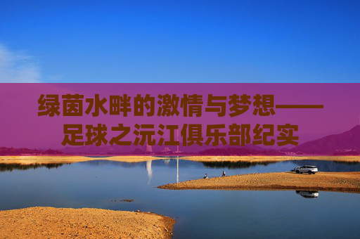 绿茵水畔的激情与梦想——足球之沅江俱乐部纪实