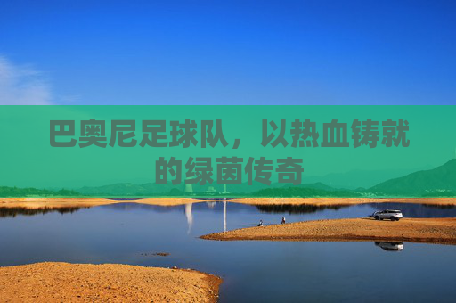 巴奥尼足球队,以热血铸就的绿茵传奇
