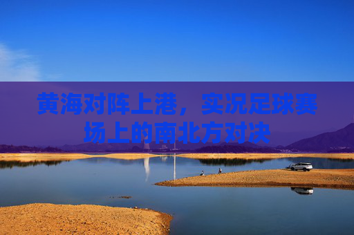 黄海对阵上港,实况足球赛场上的南北方对决