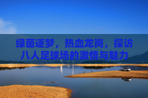 绿茵逐梦,热血龙岗,探访八人足球场的激情与魅力