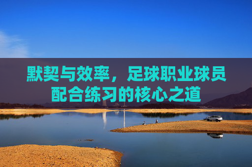 默契与效率,足球职业球员配合练习的核心之道