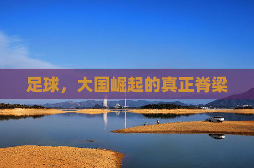 足球,大国崛起的真正脊梁