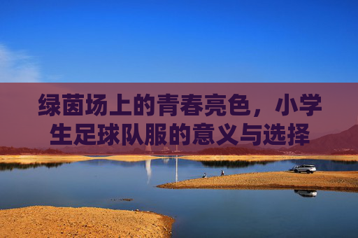 绿茵场上的青春亮色，小学生足球队服的意义与选择
