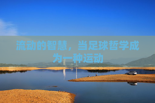 流动的智慧,当足球哲学成为一种运动