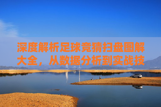 深度解析足球竞猜扫盘图解大全，从数据分析到实战技巧
