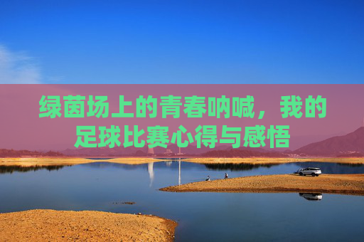 绿茵场上的青春呐喊，我的足球比赛心得与感悟