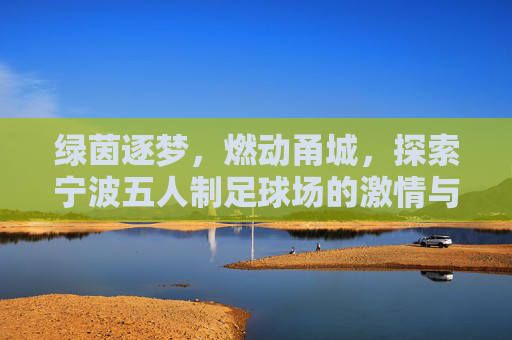 绿茵逐梦，燃动甬城，探索宁波五人制足球场的激情与活力