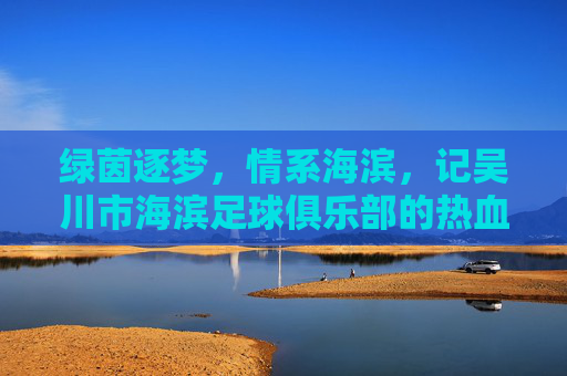 绿茵逐梦，情系海滨，记吴川市海滨足球俱乐部的热血岁月