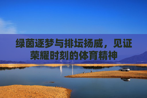 绿茵逐梦与排坛扬威，见证荣耀时刻的体育精神