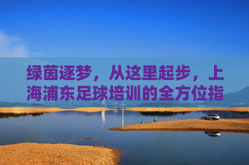 绿茵逐梦，从这里起步，上海浦东足球培训的全方位指南