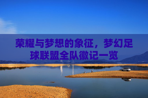 荣耀与梦想的象征，梦幻足球联盟全队徽记一览