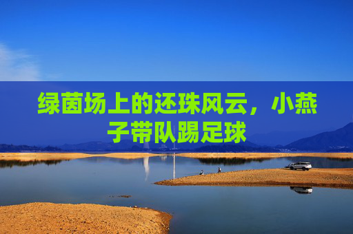 绿茵场上的还珠风云，小燕子带队踢足球