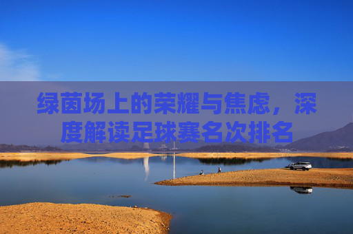 绿茵场上的荣耀与焦虑，深度解读足球赛名次排名