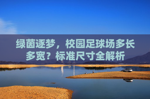 绿茵逐梦，校园足球场多长多宽？标准尺寸全解析