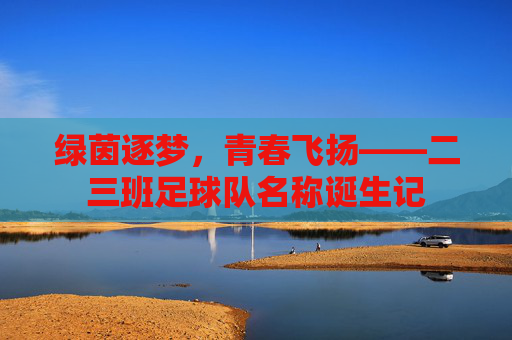 绿茵逐梦，青春飞扬——二三班足球队名称诞生记