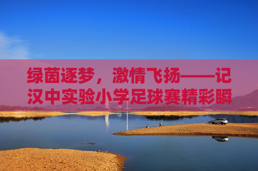 绿茵逐梦，激情飞扬——记汉中实验小学足球赛精彩瞬间
