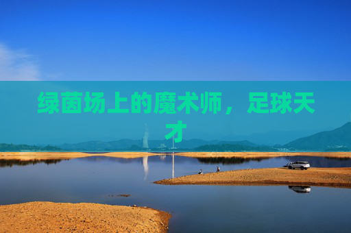 绿茵场上的魔术师，足球天才