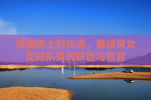 绿茵场上的光谱，解读男女足球队员的肤色与包容