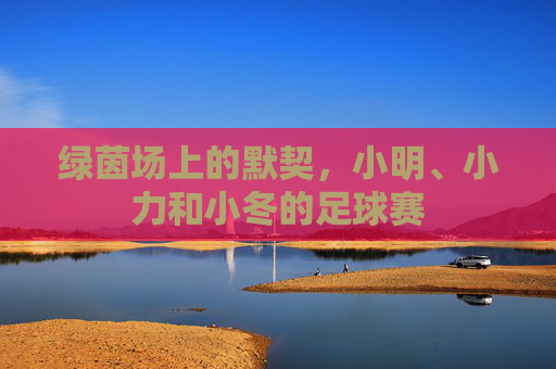 绿茵场上的默契，小明、小力和小冬的足球赛