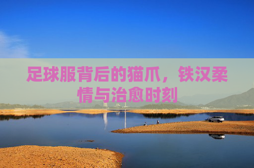 足球服背后的猫爪，铁汉柔情与治愈时刻