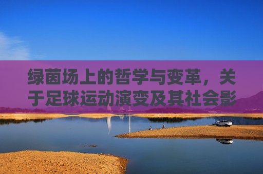绿茵场上的哲学与变革，关于足球运动演变及其社会影响的探讨