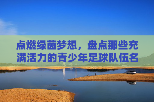 点燃绿茵梦想，盘点那些充满活力的青少年足球队伍名称