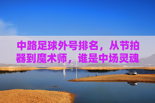 中路足球外号排名，从节拍器到魔术师，谁是中场灵魂的代名词？