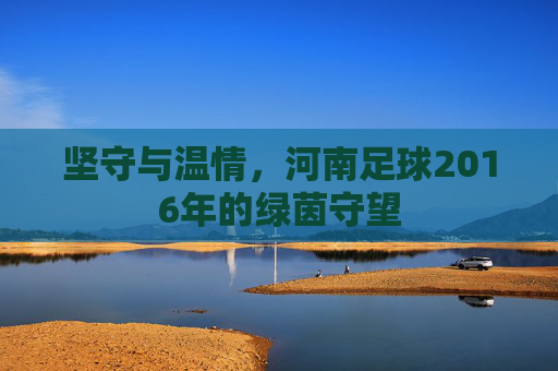 坚守与温情，河南足球2016年的绿茵守望