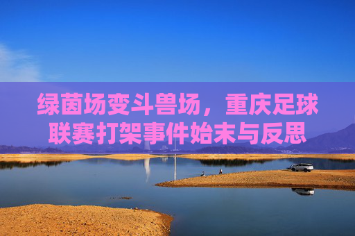 绿茵场变斗兽场，重庆足球联赛打架事件始末与反思