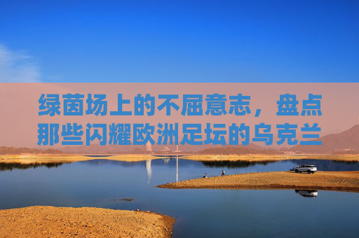 绿茵场上的不屈意志，盘点那些闪耀欧洲足坛的乌克兰球星