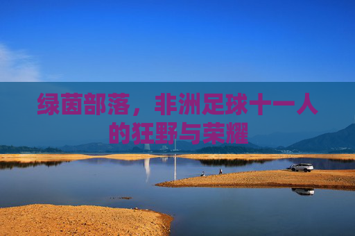 绿茵部落，非洲足球十一人的狂野与荣耀