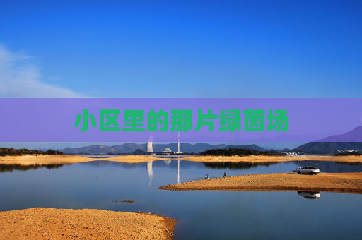 小区里的那片绿茵场