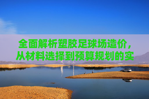 全面解析塑胶足球场造价，从材料选择到预算规划的实用指南