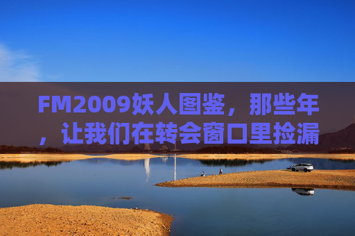FM2009妖人图鉴，那些年，让我们在转会窗口里捡漏的青春记忆