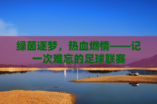 绿茵逐梦，热血燃情——记一次难忘的足球联赛