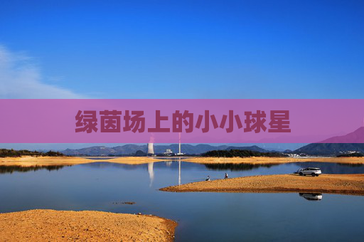 绿茵场上的小小球星