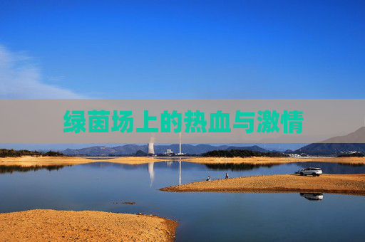 绿茵场上的热血与激情