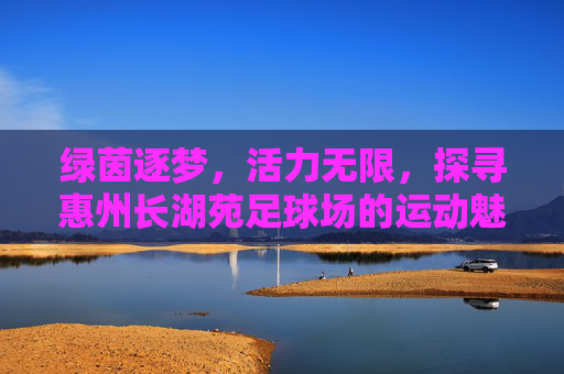 绿茵逐梦，活力无限，探寻惠州长湖苑足球场的运动魅力