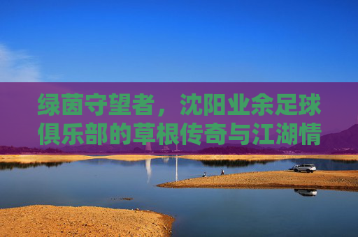 绿茵守望者，沈阳业余足球俱乐部的草根传奇与江湖情怀