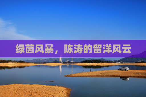 绿茵风暴，陈涛的留洋风云