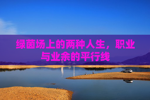 绿茵场上的两种人生，职业与业余的平行线