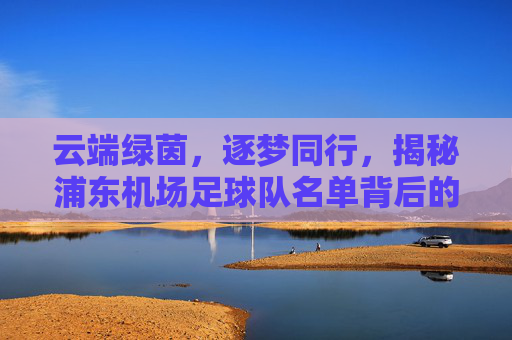 云端绿茵，逐梦同行，揭秘浦东机场足球队名单背后的热血与拼搏